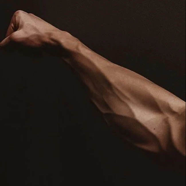 The Easiest Way To Get Muscular Arms, Introducing The Gripster